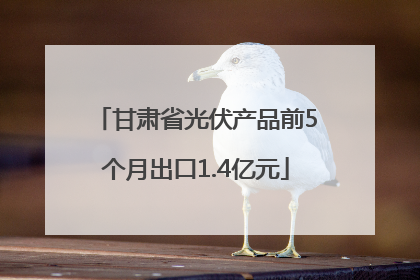 甘肃省光伏产品前5个月出口1.4亿元