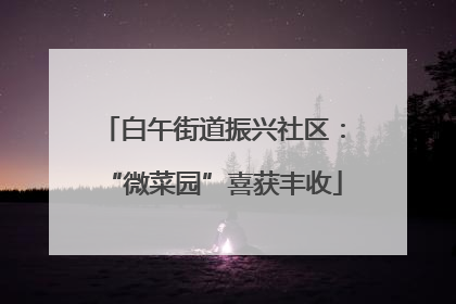 白午街道振兴社区：“微菜园”喜获丰收