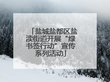 盐城盐都区盐渎街道开展“绿书签行动”宣传系列活动