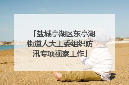 盐城亭湖区东亭湖街道人大工委组织防汛专项视察工作