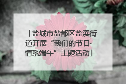 盐城市盐都区盐渎街道开展“我们的节日·情系端午”主题活动