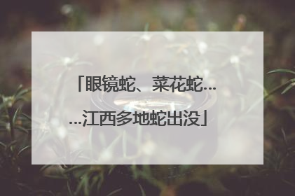 眼镜蛇、菜花蛇……江西多地蛇出没