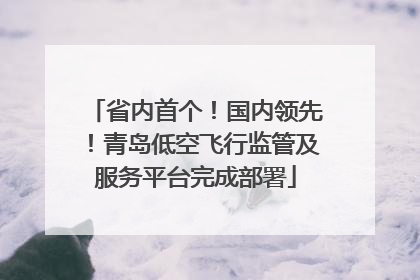 省内首个！国内领先！青岛低空飞行监管及服务平台完成部署