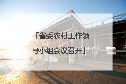 省委农村工作领导小组会议召开