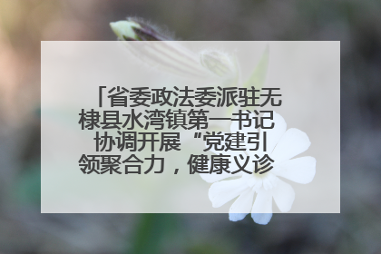 省委政法委派驻无棣县水湾镇第一书记 协调开展“党建引领聚合力，健康义诊惠乡亲”义诊活动