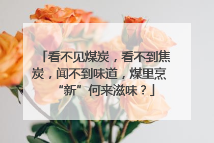 看不见煤炭，看不到焦炭，闻不到味道，煤里烹“新”何来滋味？