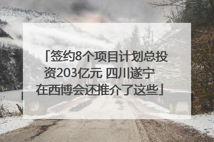 签约8个项目计划总投资203亿元 四川遂宁在西博会还推介了这些