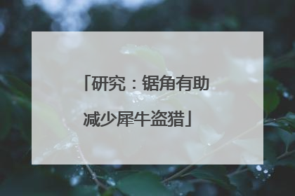 研究：锯角有助减少犀牛盗猎