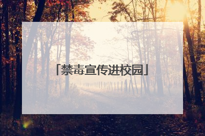 禁毒宣传进校园