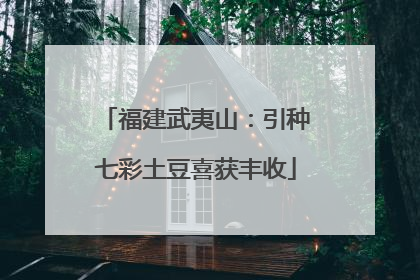 福建武夷山：引种七彩土豆喜获丰收
