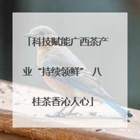 科技赋能广西茶产业“持续领鲜” 八桂茶香沁人心