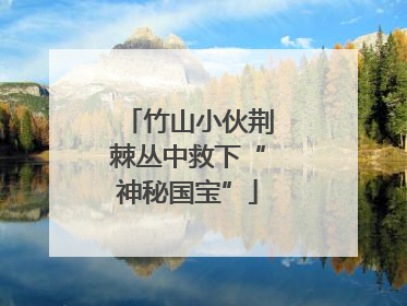 竹山小伙荆棘丛中救下“神秘国宝”