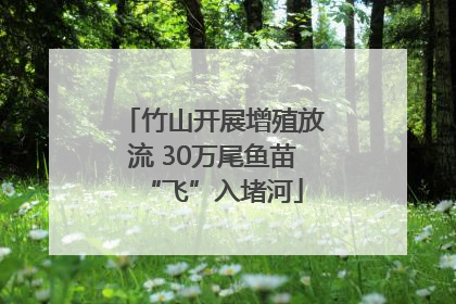 竹山开展增殖放流 30万尾鱼苗“飞”入堵河