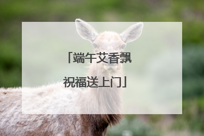 端午艾香飘 祝福送上门