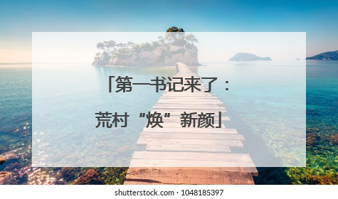 第一书记来了：荒村“焕”新颜