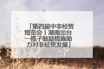 第四届中非经贸博览会丨湖南出台一揽子鼓励措施助力对非经贸发展