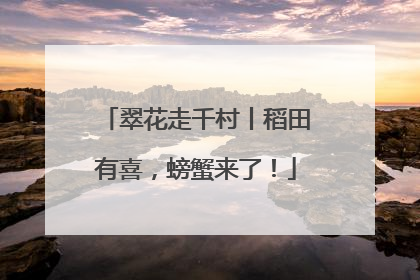 翠花走千村丨稻田有喜，螃蟹来了！