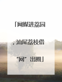 网媒进荔园，汕尾荔枝借“网”出圈