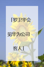 罗卫华会见华为公司客人