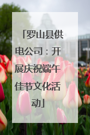 罗山县供电公司：开展庆祝端午佳节文化活动