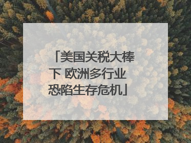 美国关税大棒下 欧洲多行业恐陷生存危机