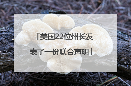 美国22位州长发表了一份联合声明