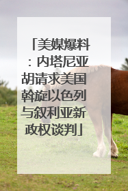 美媒爆料：内塔尼亚胡请求美国斡旋以色列与叙利亚新政权谈判