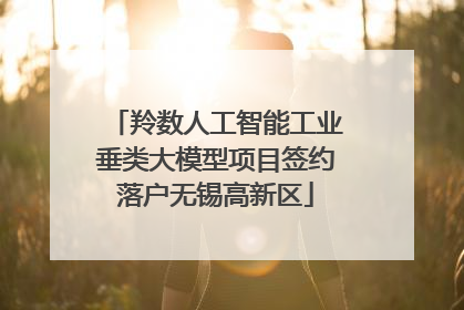 羚数人工智能工业垂类大模型项目签约落户无锡高新区