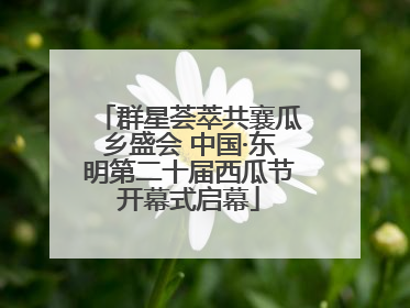 群星荟萃共襄瓜乡盛会 中国·东明第二十届西瓜节开幕式启幕