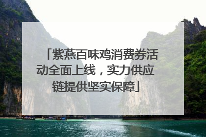 紫燕百味鸡消费券活动全面上线，实力供应链提供坚实保障