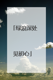 绿浪深处见初心