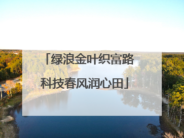 绿浪金叶织富路 科技春风润心田