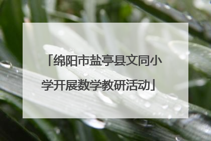 绵阳市盐亭县文同小学开展数学教研活动