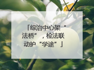 综治中心架“法桥”，检法联动护“学途”