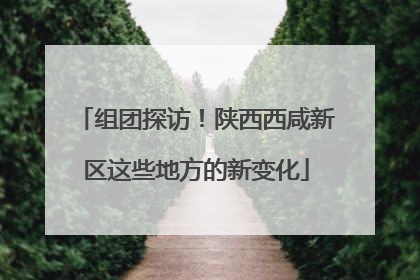 组团探访！陕西西咸新区这些地方的新变化