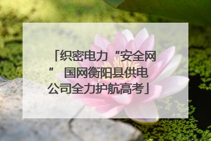 织密电力“安全网” 国网衡阳县供电公司全力护航高考
