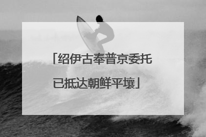 绍伊古奉普京委托已抵达朝鲜平壤