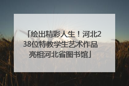 绘出精彩人生！河北238位特教学生艺术作品亮相河北省图书馆