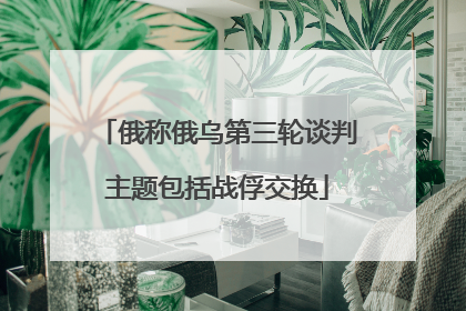 俄称俄乌第三轮谈判主题包括战俘交换