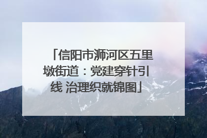 信阳市浉河区五里墩街道：党建穿针引线 治理织就锦图