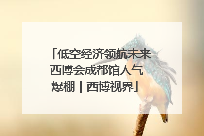 低空经济领航未来 西博会成都馆人气爆棚｜西博视界