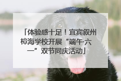 体验感十足！宜宾叙州樟海学校开展“端午·六一”双节同庆活动