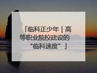 临科正少年｜高等职业院校建设的“临科速度”