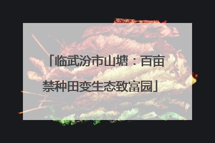 临武汾市山塘：百亩禁种田变生态致富园