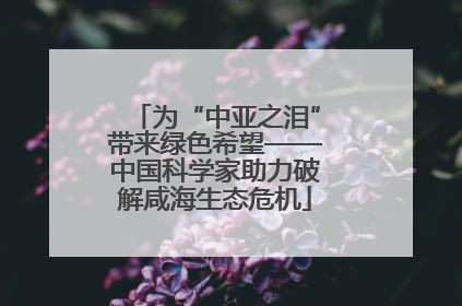 为“中亚之泪”带来绿色希望——中国科学家助力破解咸海生态危机