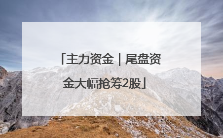 主力资金｜尾盘资金大幅抢筹2股