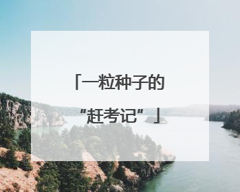 一粒种子的“赶考记”