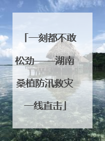 一刻都不敢松劲——湖南桑植防汛救灾一线直击