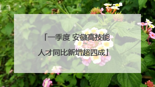一季度 安徽高技能人才同比新增超四成