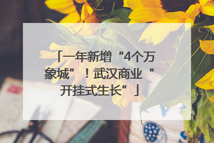 一年新增“4个万象城”！武汉商业“开挂式生长”